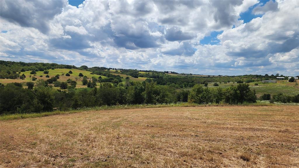 Pena Survey - Land