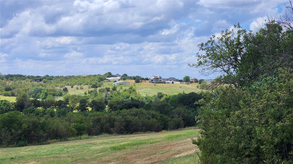 Pena Survey - Land