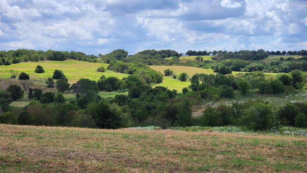 Pena Survey - Land