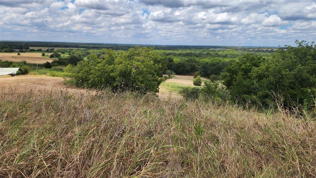 Pena Survey - Land
