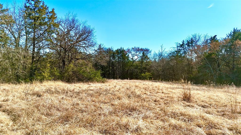 Hunt Td - Land