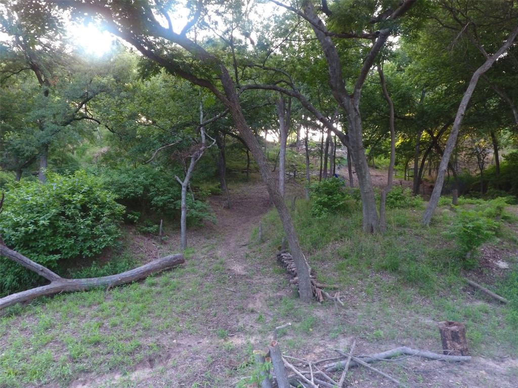 Pecan Plantation - Land