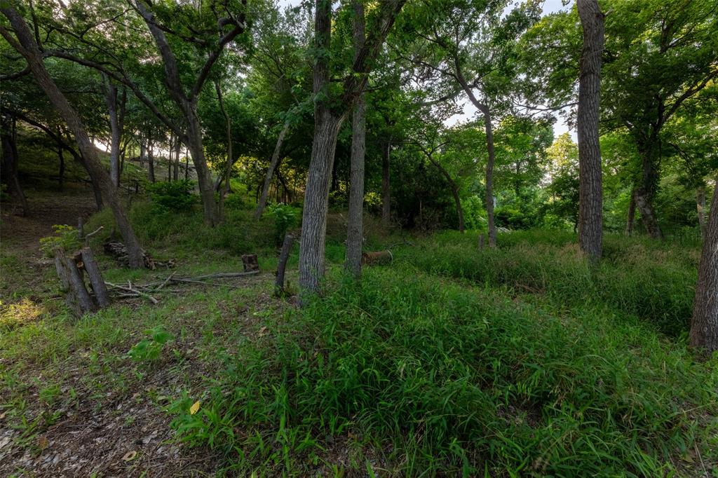 Pecan Plantation - Land