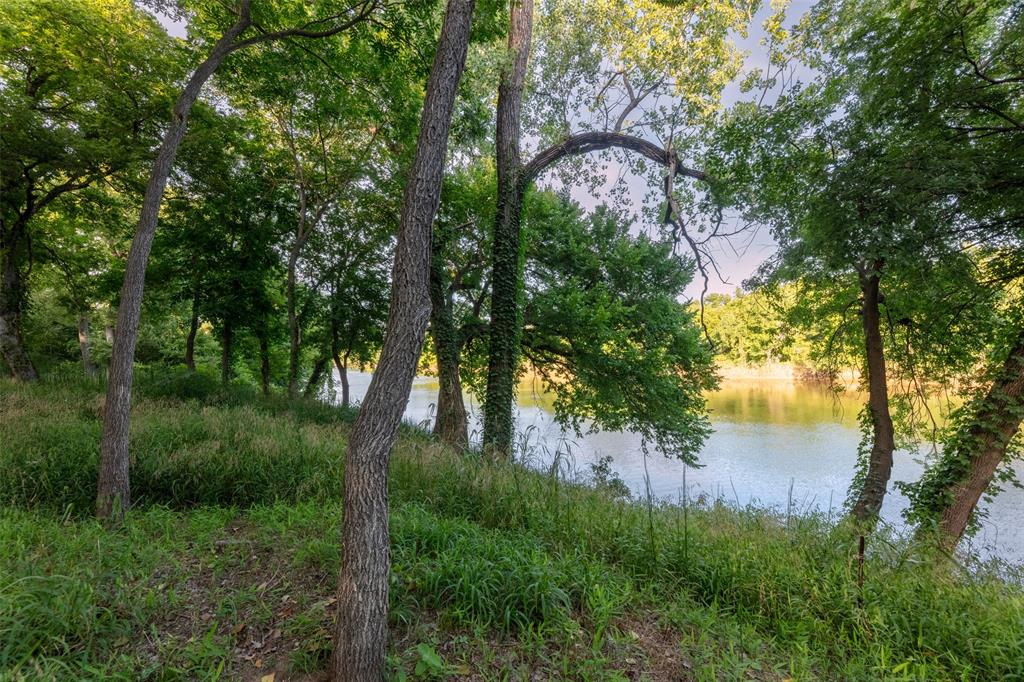 Pecan Plantation - Land