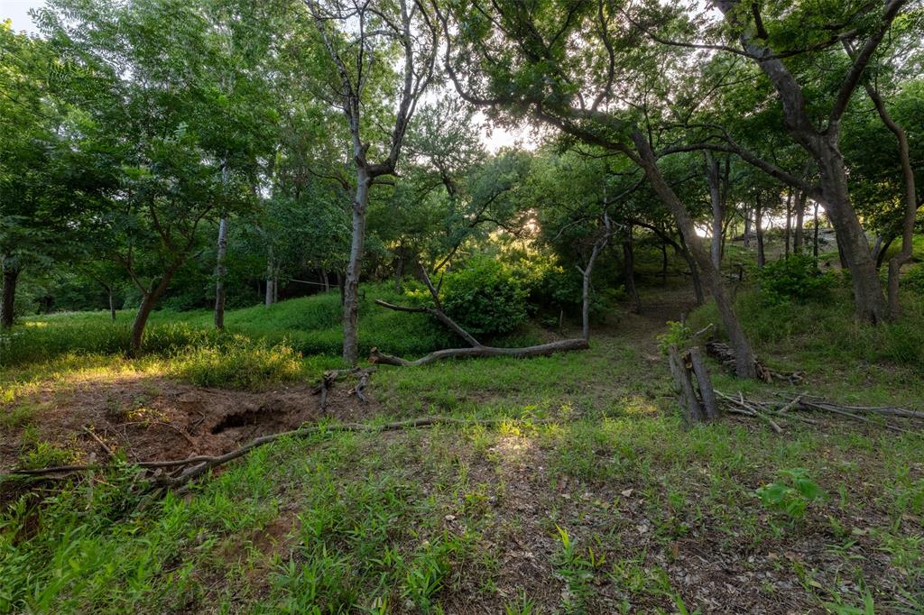 Pecan Plantation - Land