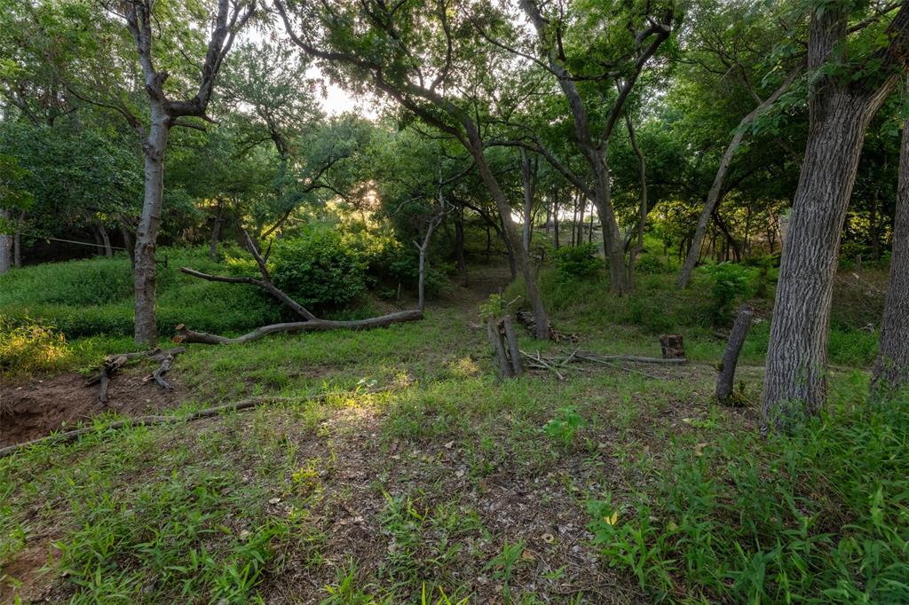 Pecan Plantation - Land