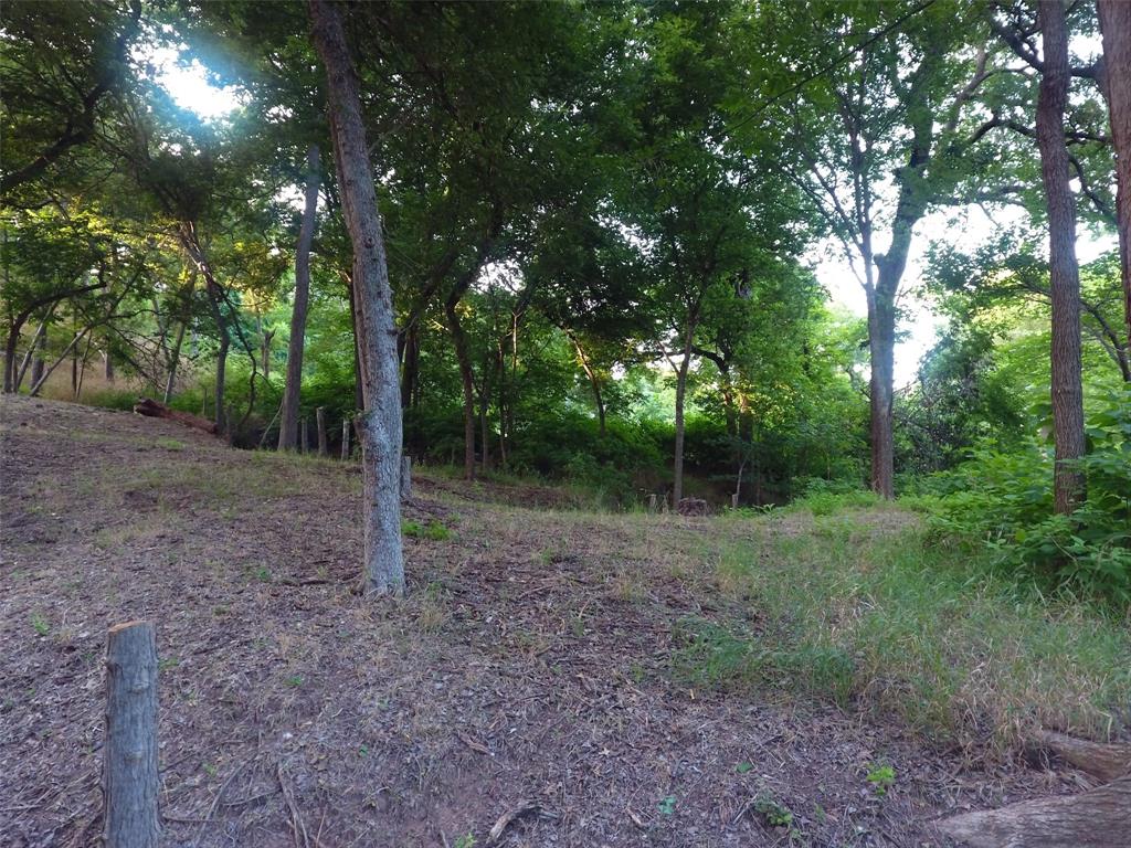 Pecan Plantation - Land