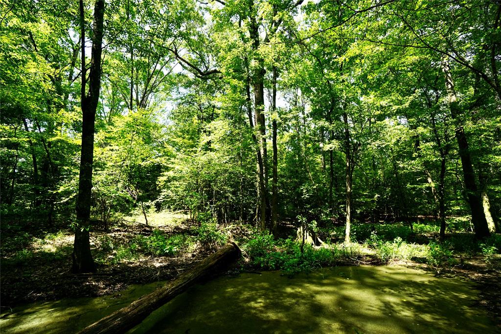 rural - Land