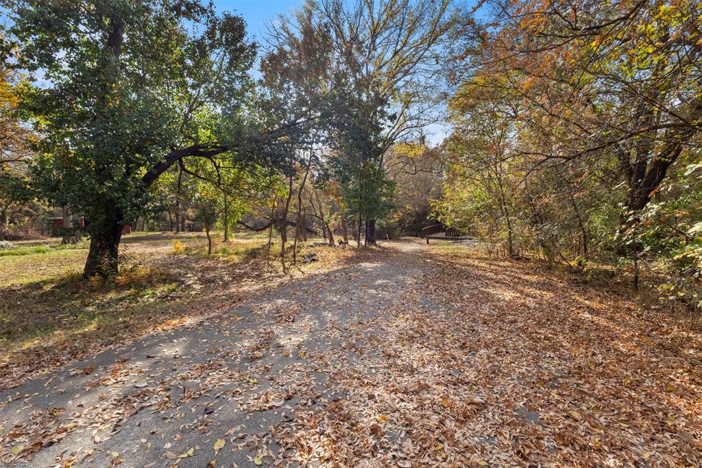 Pecan Acres - Land