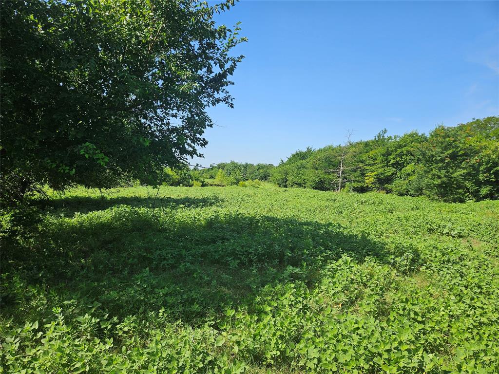 A0527 - Land