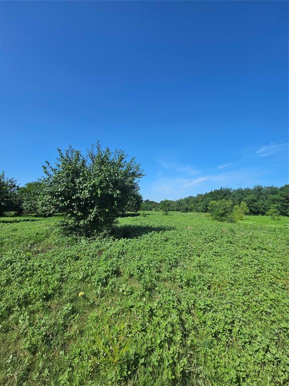 A0527 - Land