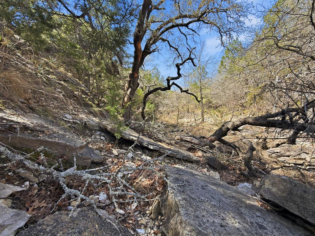 Logan Branch - Land
