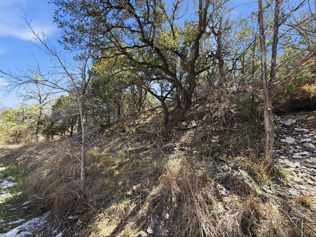 Logan Branch - Land
