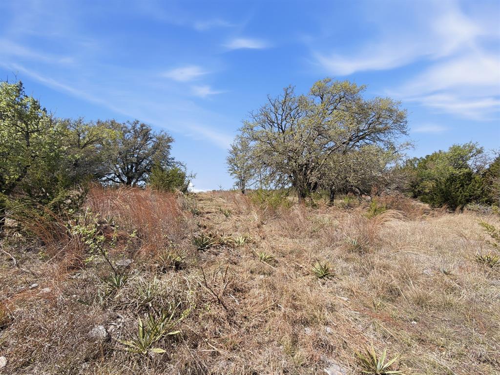 Logan Branch - Land