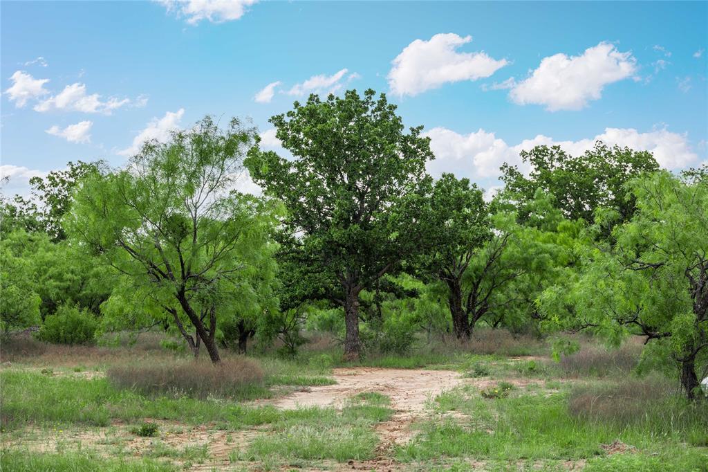 East TX RR CO, Survey 1 Abstract 280 - Land