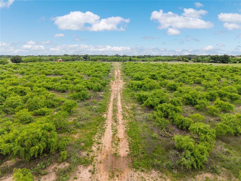 East TX RR CO, Survey 1 Abstract 280 - Land