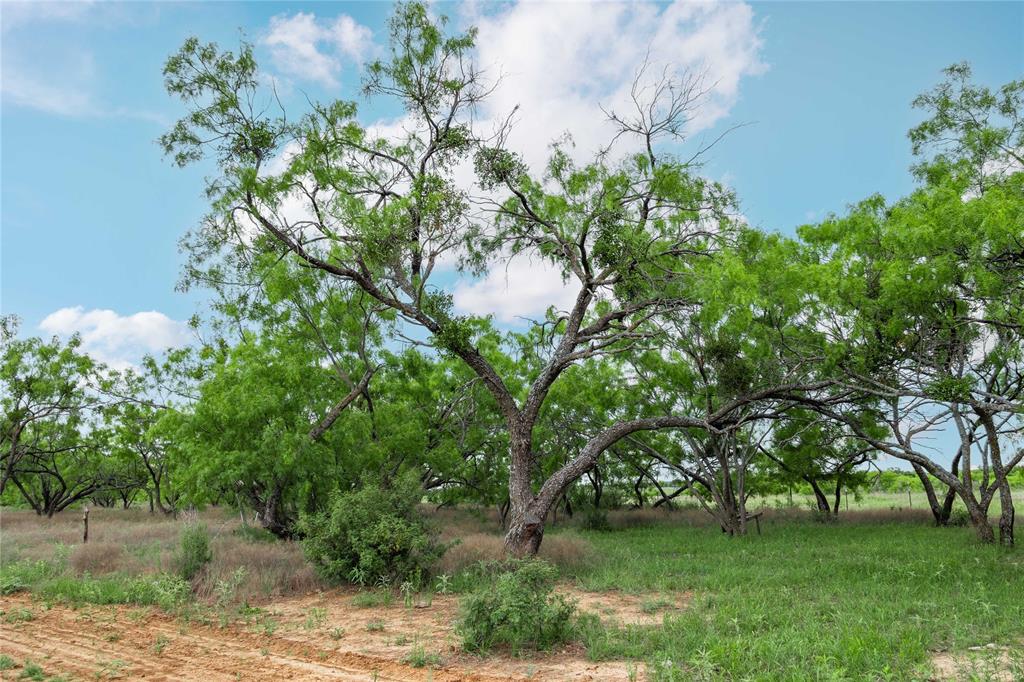 East TX RR CO, Survey 1 Abstract 280 - Land