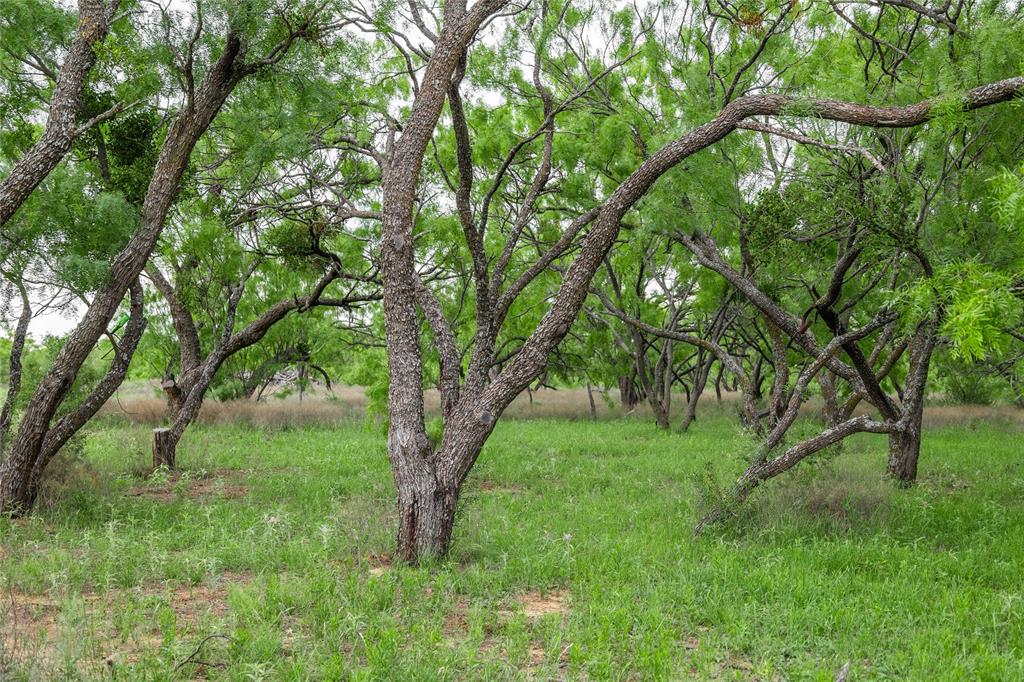 East TX RR CO, Survey 1 Abstract 280 - Land