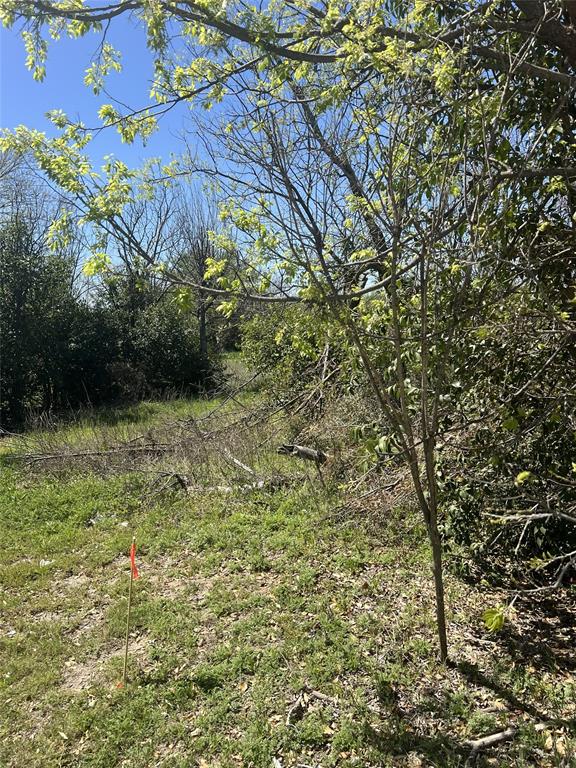 brownwood heights - Land