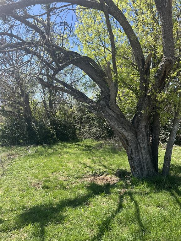 brownwood heights - Land