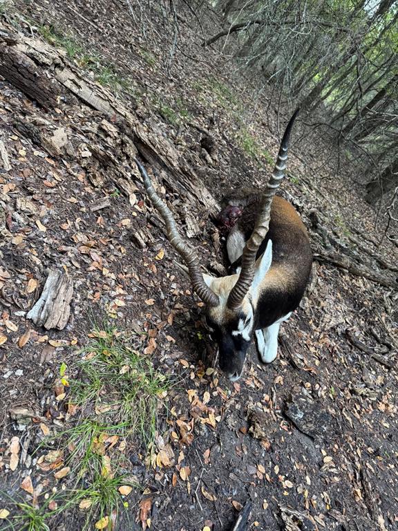 Crossbow Ranch & Wildlife Pre - Residential
