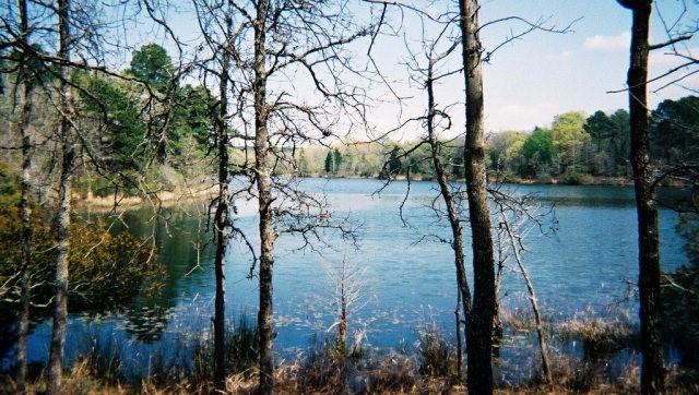 Safari Waters Ranch Ph 02 - Land