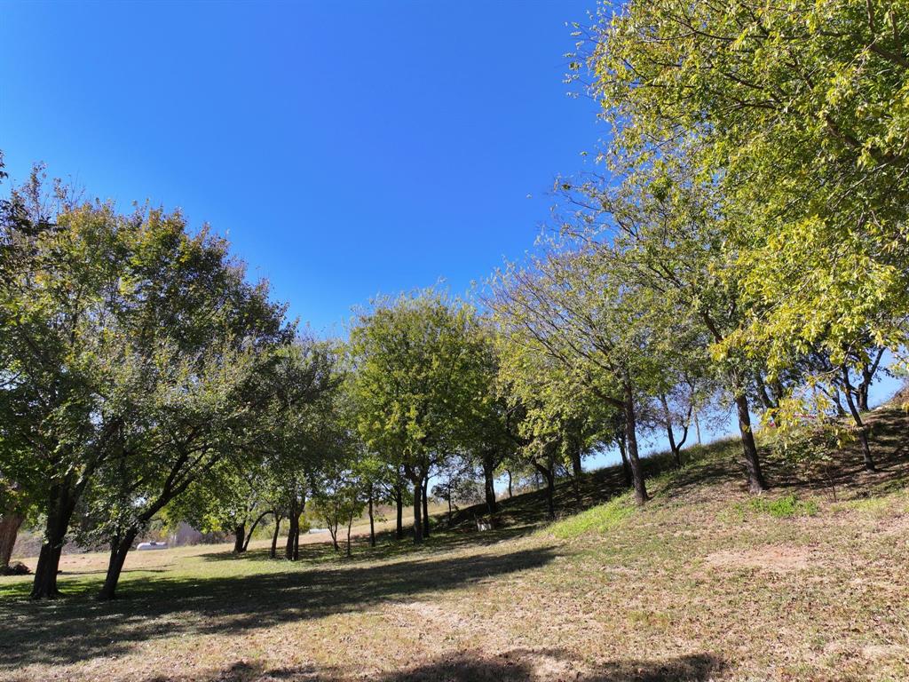 Mitchell Bend - Land