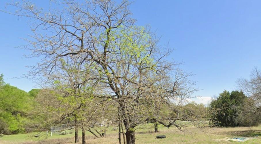 Excellent property for your mobile home. This parcel is not far from the Brazos, and the Lake Granbury Harbor community has a boat ramp. The community also features a pool and club house. Downtown Granbury is 10-15 minutes and has all the favorite restaurants along with a Home Depot and a Lowe's. The lot is level. A septic design document and a survey are available in the documents. Electric and water utilities are available. Listing agent is the property owner.
Owner also has 2 additional listings in LGH. All 3 could possibly be purchased together at a discounted price.
21081055 - 6209 Texas Trail
21078910 - 6213 Oklahoma