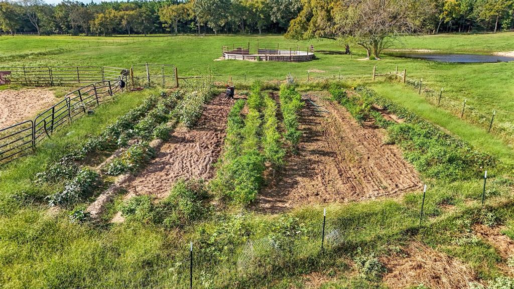 00462 - Land