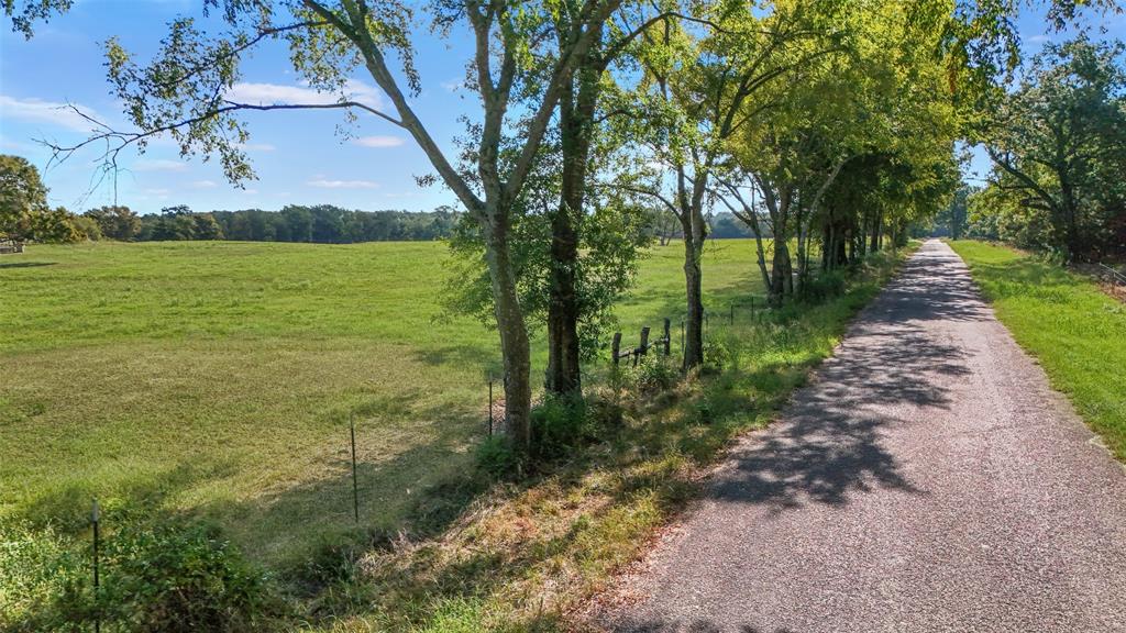 00462 - Land