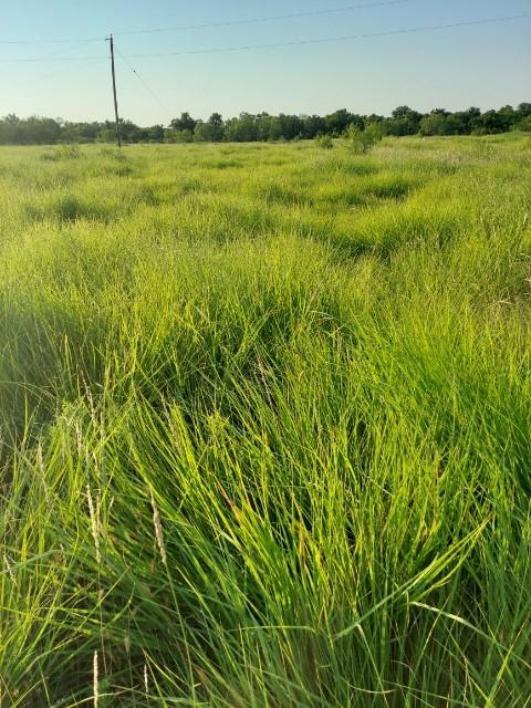 none - Farm