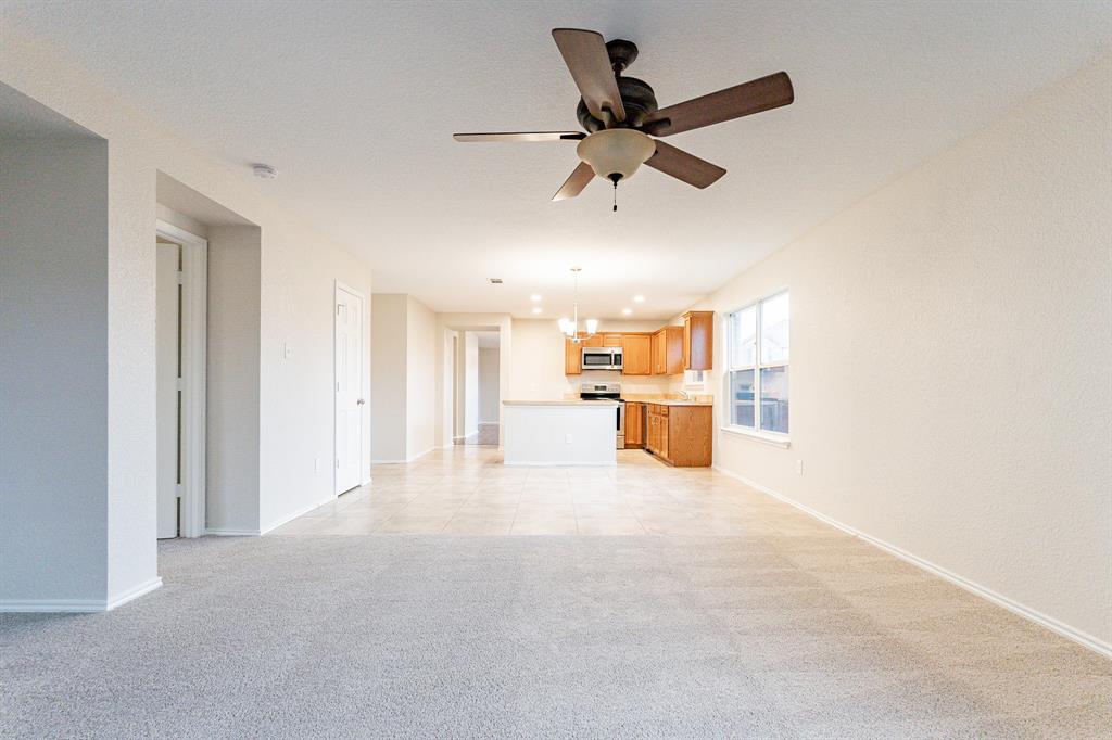 Springlake Park Add - Residential