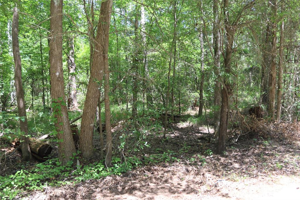 White Oak Springs - Land