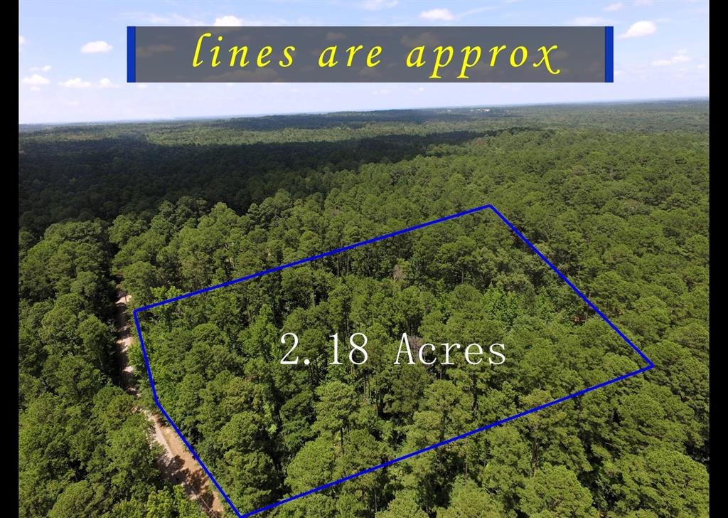 Winding roads and rolling hills lead you to the towering pine trees that make this property a truly special retreat. Located within the gated community of White Oak Springs, this heavily wooded tract offers privacy, natural beauty, and a peaceful setting to build your dream getaway or forever home.
The land features a gentle elevation change, rising gradually from the private road along the western boundary toward the eastern side of the property, providing for scenic views among the trees. With the town of Winnsboro only about 10 miles away, you'll feel worlds apart from the hustle and bustle, surrounded by nature and the tranquility of East Texas. If you're looking for a secluded escape with easy access to town conveniences, this property offers the best of both worlds.