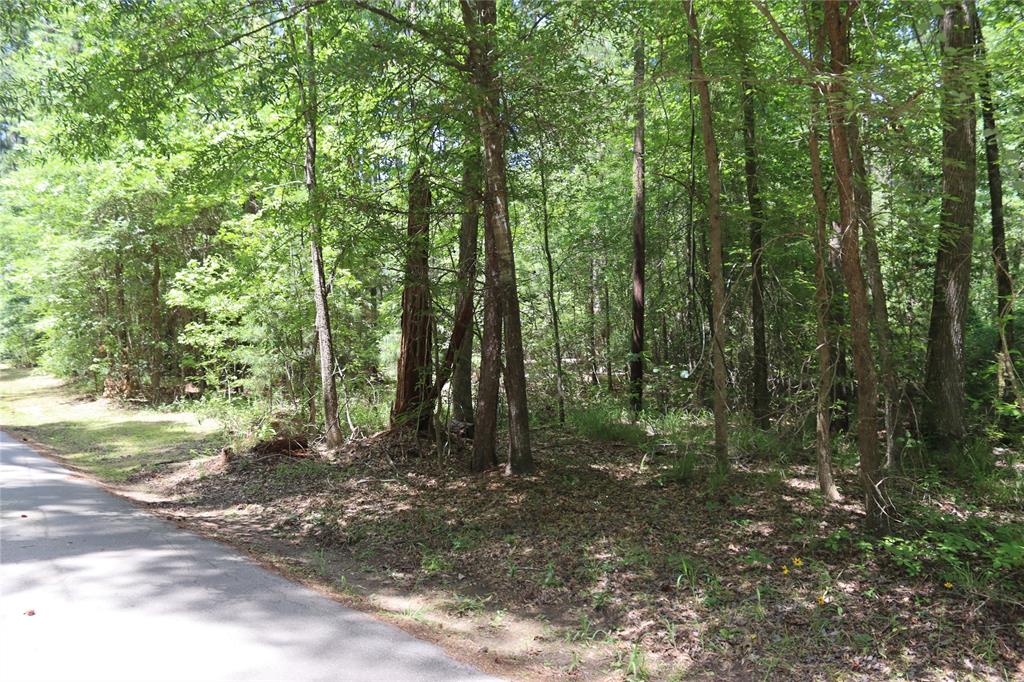 White Oak Springs - Land