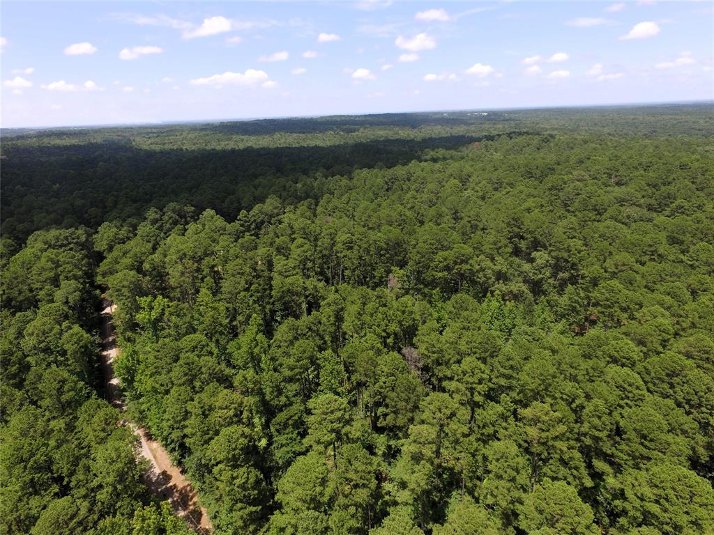 White Oak Springs - Land