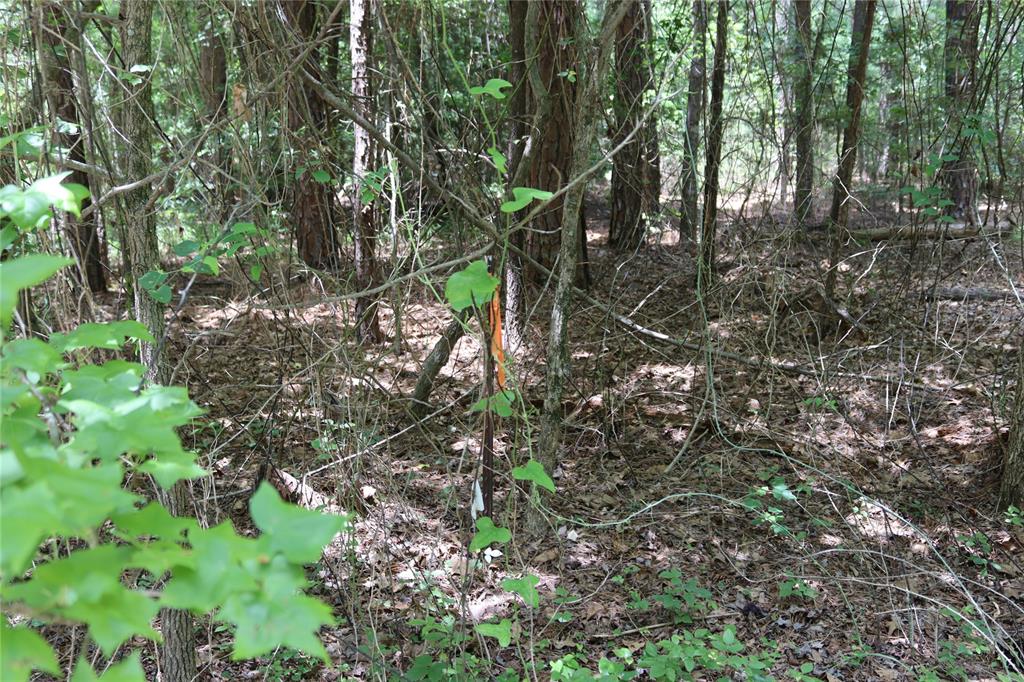 White Oak Springs - Land