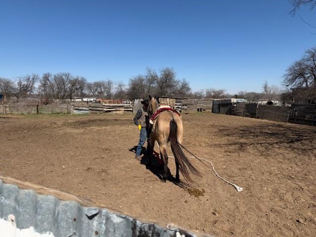Home Acres Add - Land