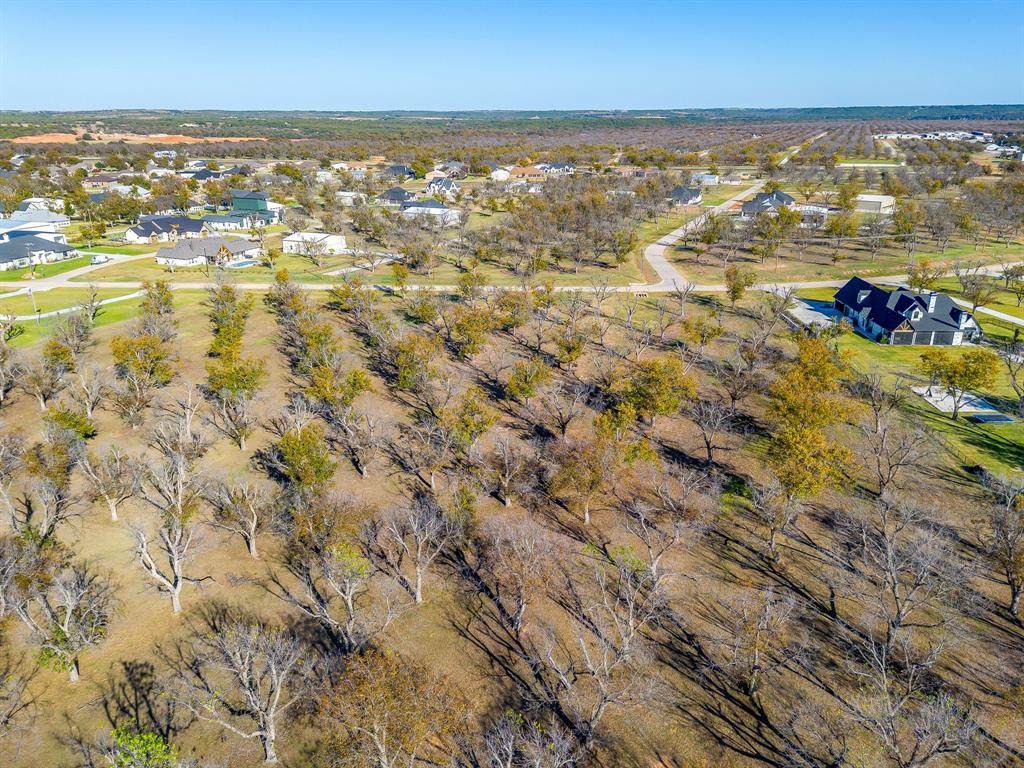 Pecan Plantation - Land