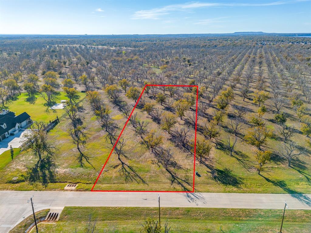 Pecan Plantation - Land