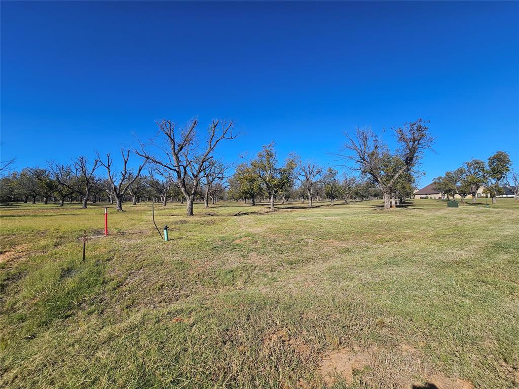 Pecan Plantation - Land
