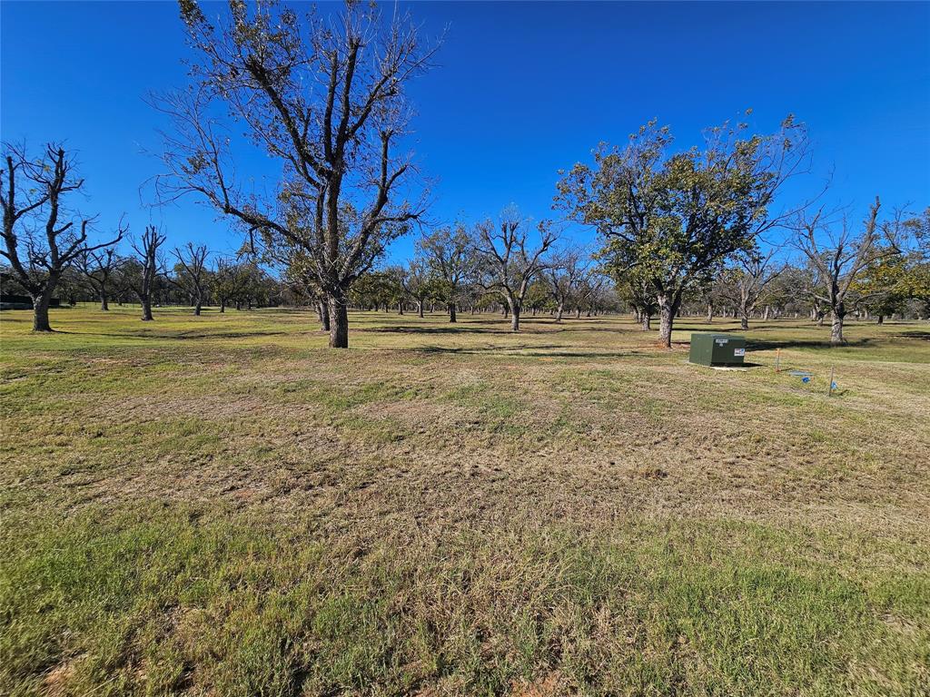 Pecan Plantation - Land