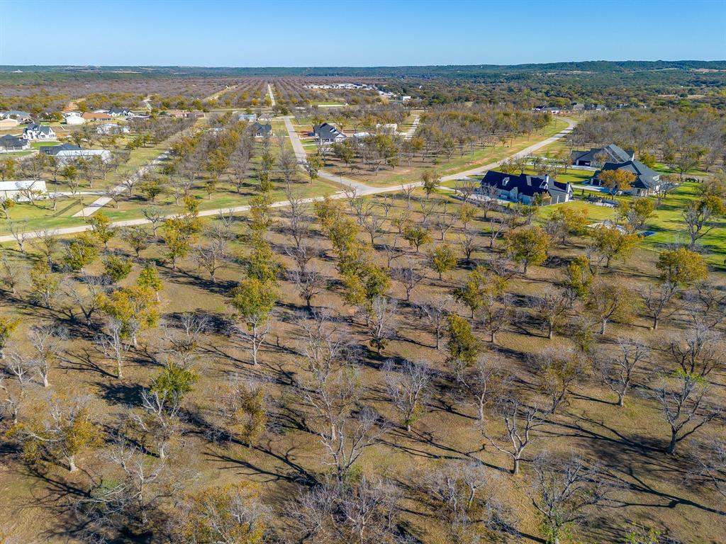 Pecan Plantation - Land