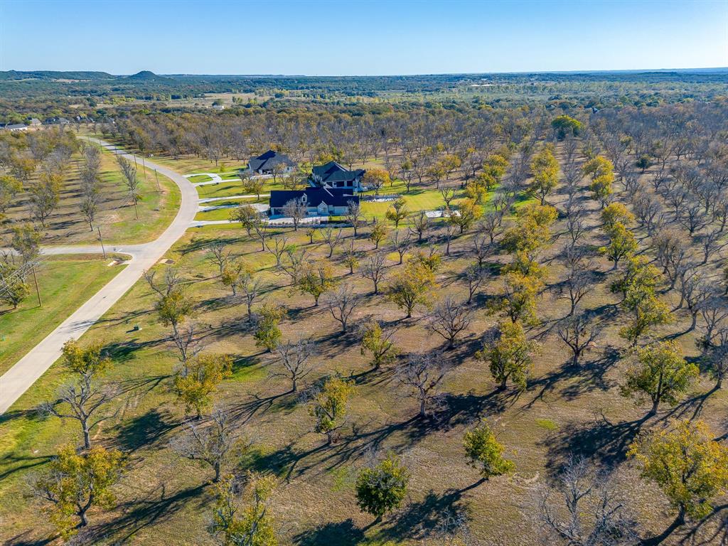 Pecan Plantation - Land
