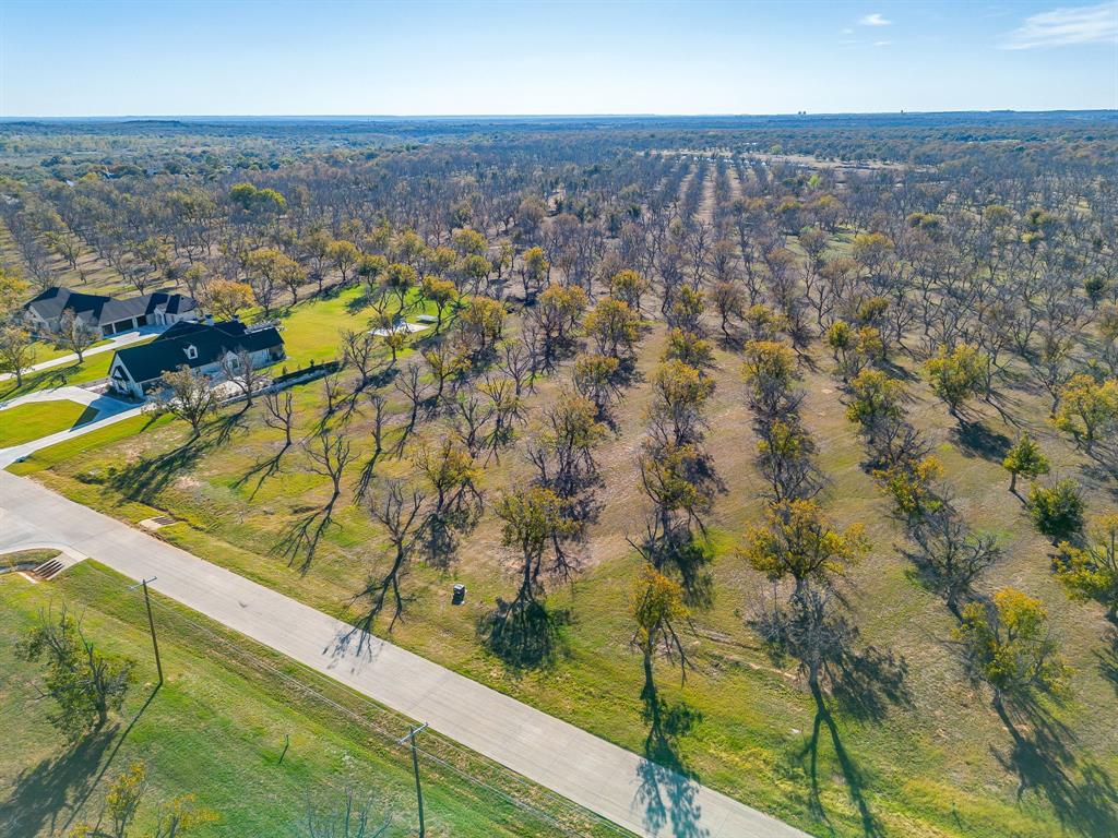 Pecan Plantation - Land