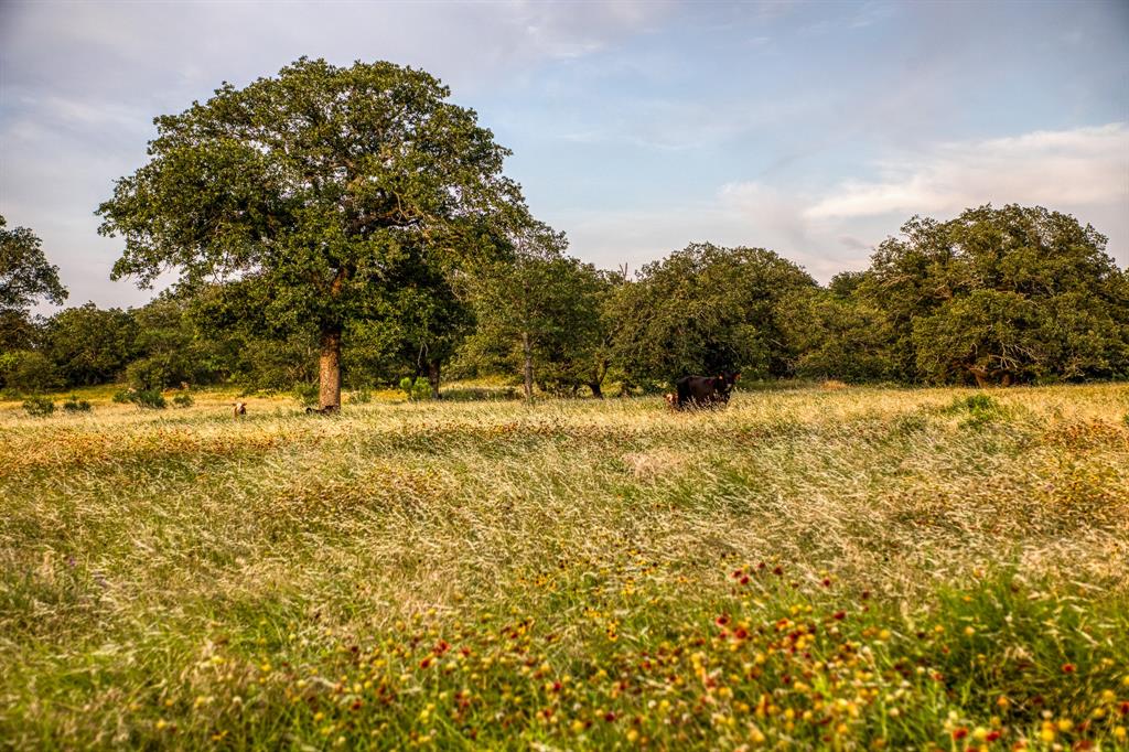 County - Farm