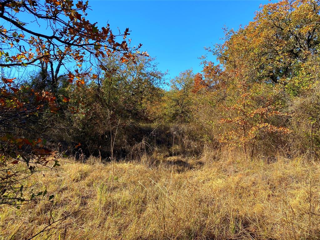 Quail Ridge - Farm
