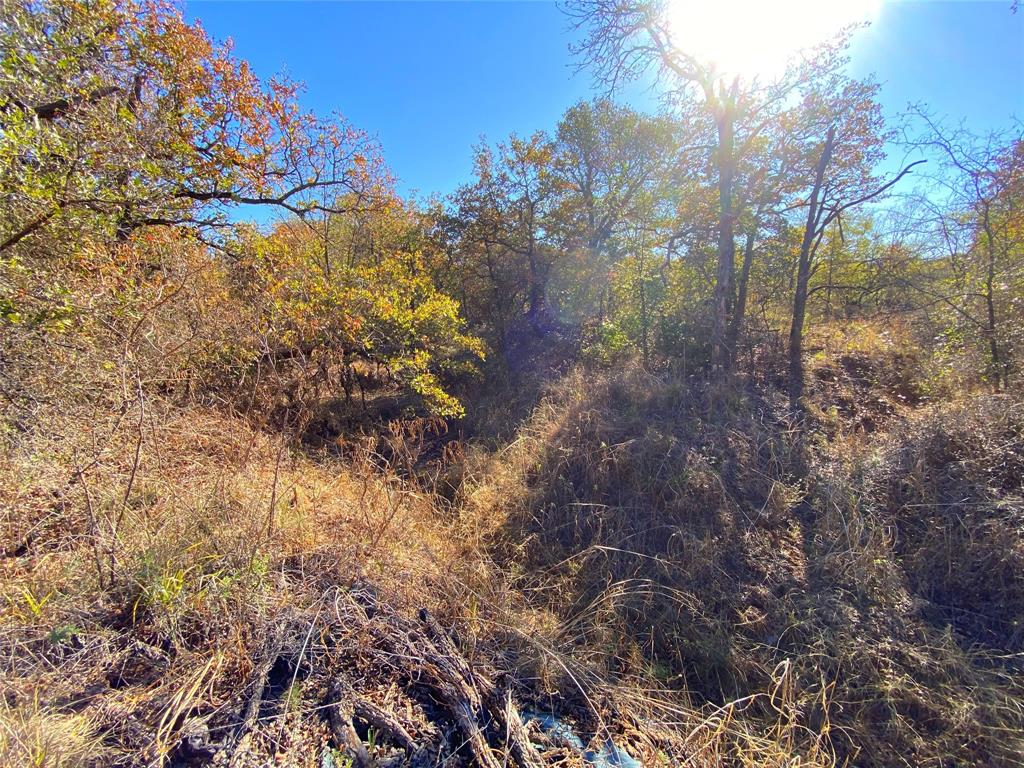 Quail Ridge - Farm