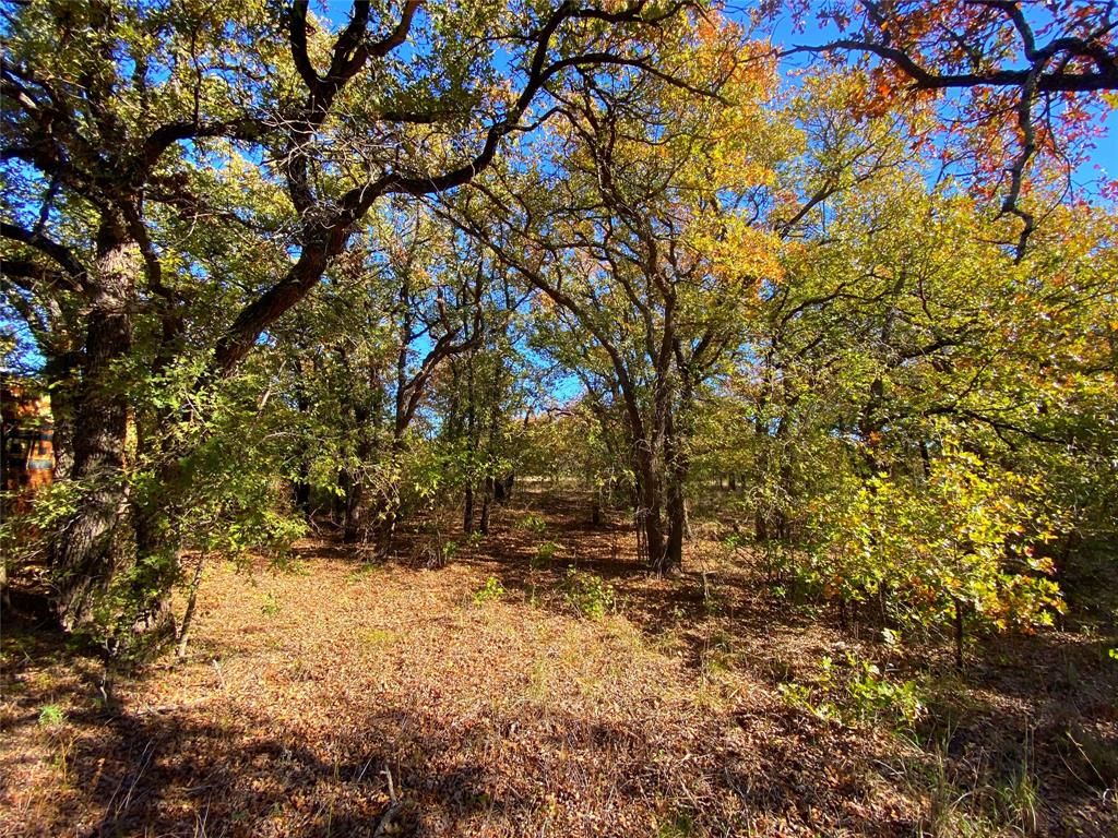 Quail Ridge - Farm