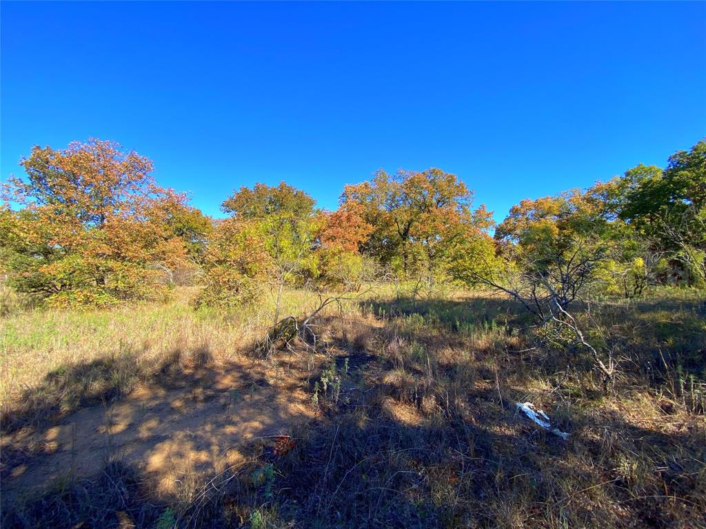 Quail Ridge - Farm